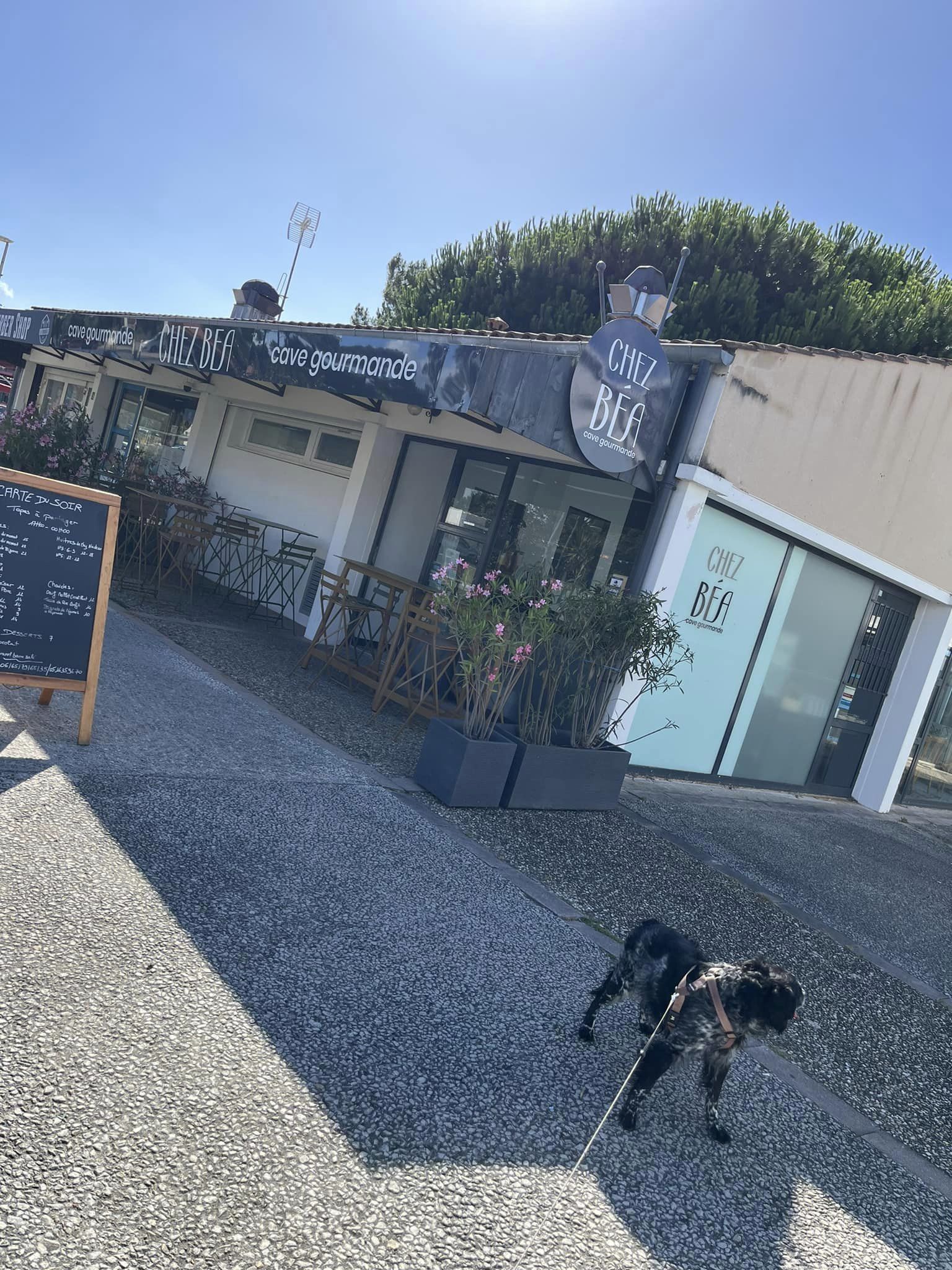 Si vous êtes en vacances sur l'île d'Oléron, ne manquez pas de faire une halte à l'entrée de Grand-Village-Plage, juste en face de la Mairie. Vous y trouverez Le Bistrot de Béa, qui a choisi un distributeur de vin au verre pour offrir une expérience de dégustation parfaite !