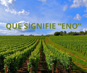 Quelle est la signification de eno ?