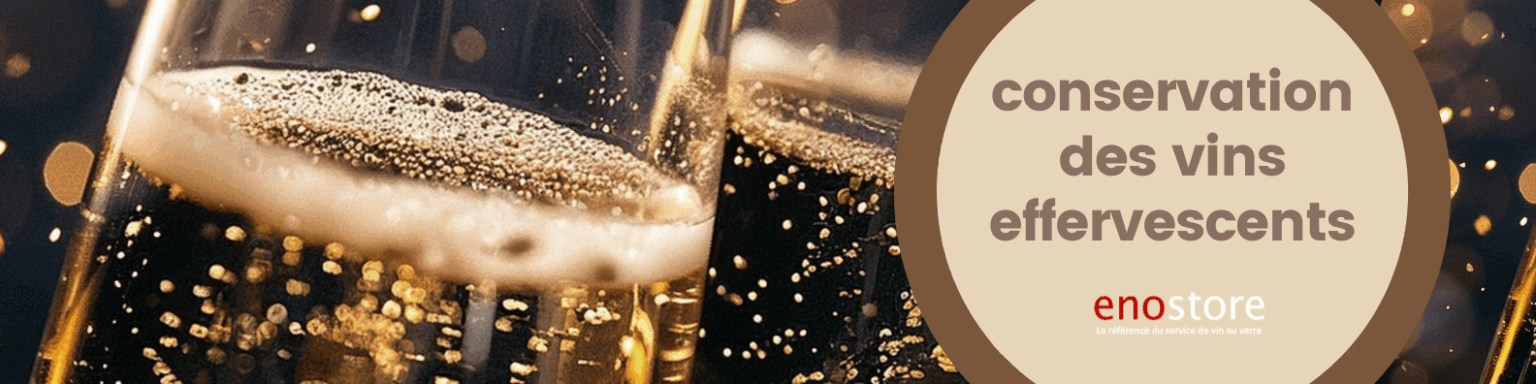 Duraperl Winefit conservation vin effervescent distributeur vin mousseux